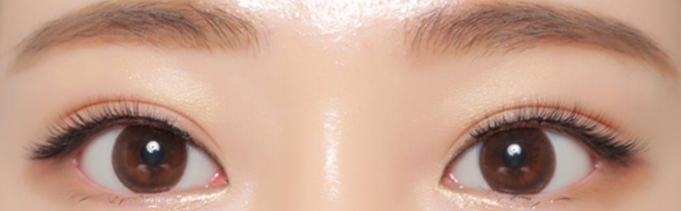 ダリ ブラウン トーリック（乱視用） Dali Brown Toric - Idol Karakon