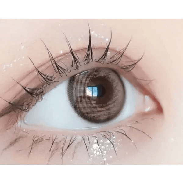 LensVery Day Ring Brown - Idol Karakon