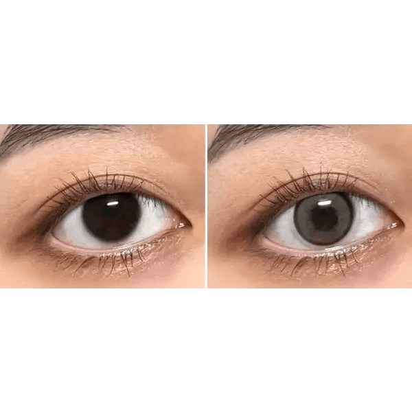 LensVery Day Ring Brown - Idol Karakon