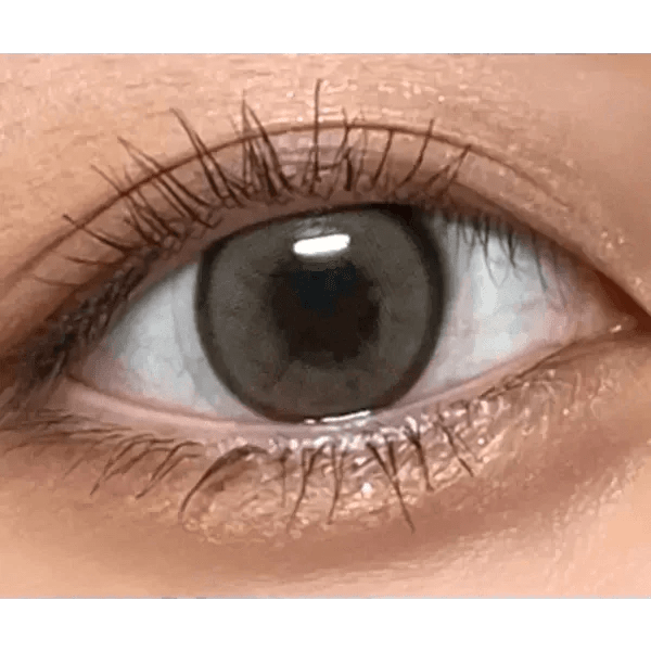 LensVery Day Ring Brown - Idol Karakon