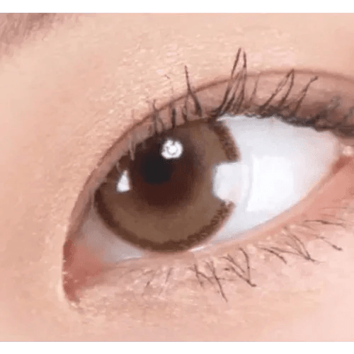 LensRang DayLook 1Day Brown (5p) - Idol Karakon