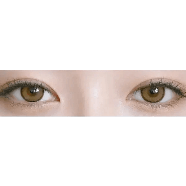LensRang DayLook 1Day Brown (5p) - Idol Karakon