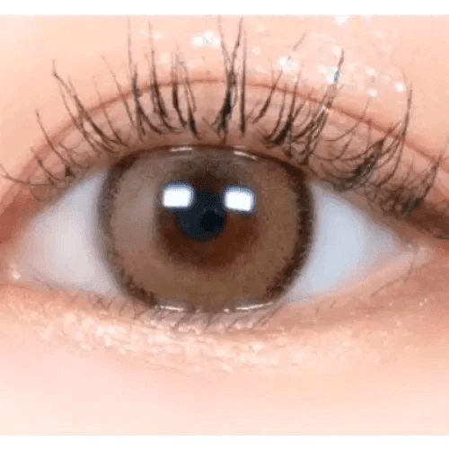 LensRang DayLook 1Day Brown (5p) - Idol Karakon