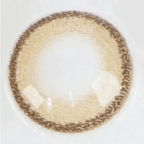 LensRang DayLook 1Day Brown (5p) - Idol Karakon