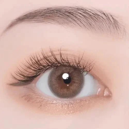 i - DOL Desire Amber Gray 1枚入 - Idol Karakon