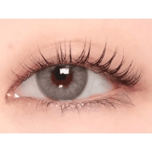 i - DOL Desire Euro Gray 1枚入 - Idol Karakon