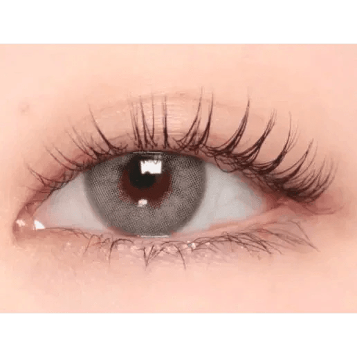 i - DOL Desire Euro Gray 1枚入 - Idol Karakon