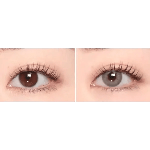 i - DOL Desire Euro Gray 1枚入 - Idol Karakon