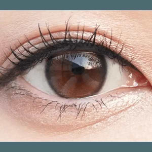 Olens Double Tint 1Day Brown (20p) - Idol Karakon
