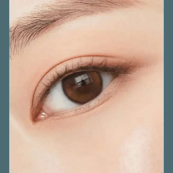 ダブルティント ワンデー ブラウン[1箱20枚] Double Tint 1Day Brown (20p) - Idol Karakon