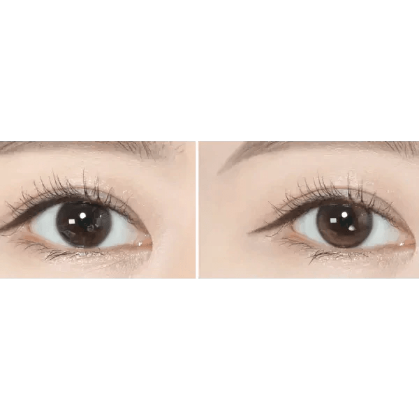 Olens Double Tint 1Day Brown (20p) - Idol Karakon