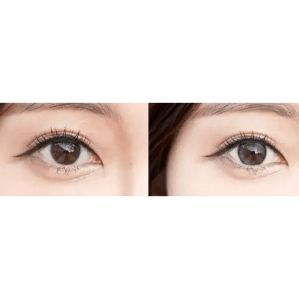 ダブルティント ワンデー グレー[1箱20枚] Double Tint 1Day Gray (20p) - Idol Karakon