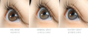 i - DOL EuroRing Mel Beige 1枚入 - Idol Karakon