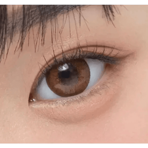 Olens Ever Shine 1Day Brown (20p) - Idol Karakon
