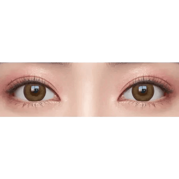 Olens Ever Shine 1Day Brown (20p) - Idol Karakon