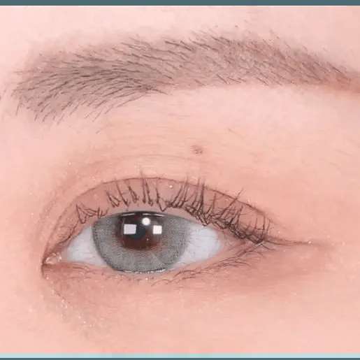 Olens French Shine 1Day Gray (20p) - Idol Karakon