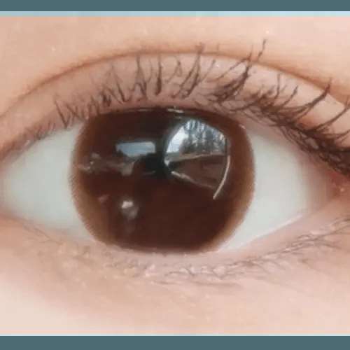 Olens From Choco - Idol Karakon