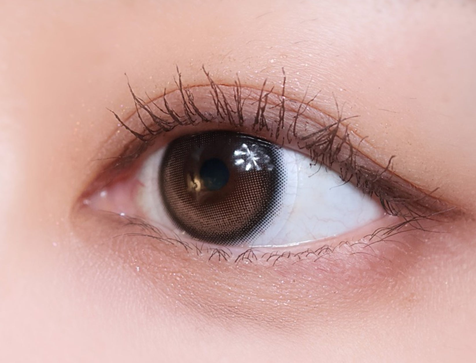 Glowy Natural モカブラウン Glowy Natural Mocha Brown - Idol Karakon