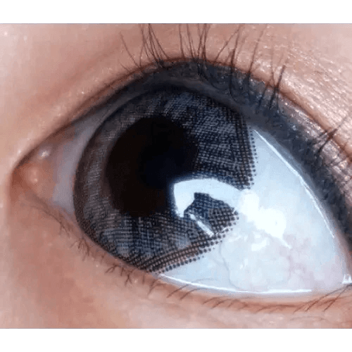 Olens Grang Grang Gray - Idol Karakon