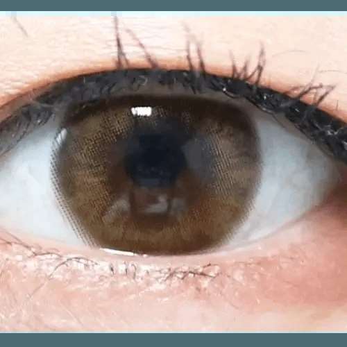 Olens Honey Ring Brown - Idol Karakon