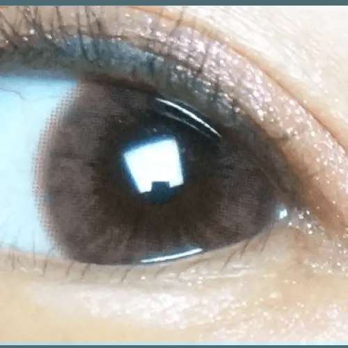 Olens Honey Ring Choco - Idol Karakon