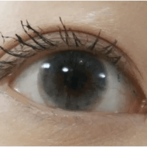 Olens Honey Ring Gray - Idol Karakon