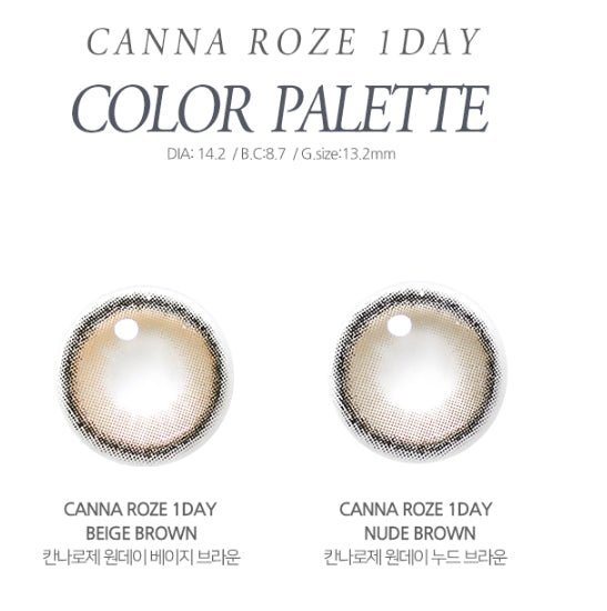 i - DOL Canna Roze Beige Brown 10枚入 - Idol Karakon