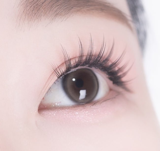 アイズ アッシュブラウン 1枚入 — EYEIS Ash Brown - Idol Karakon