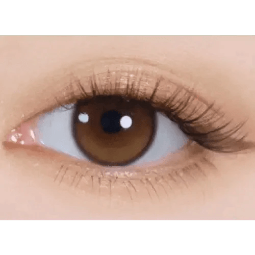 i - DOL Yurial Serum Brown 1枚入 - Idol Karakon