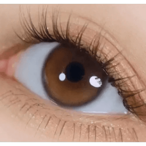 i - DOL Yurial Serum Brown 1枚入 - Idol Karakon