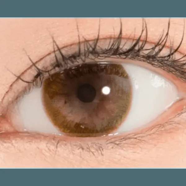 LensRang Iwwiny Brown - Idol Karakon