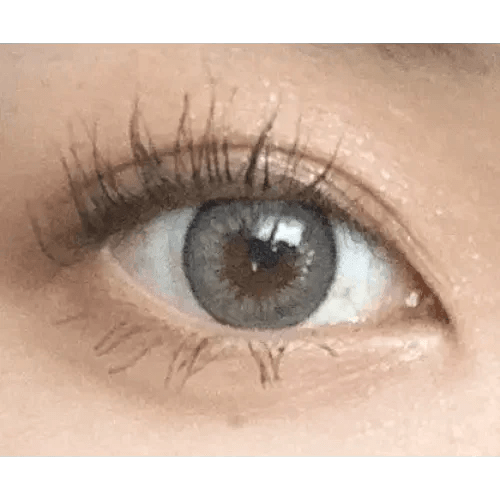 イウィッチ グレー — Iwwitch Gray - Idol Karakon