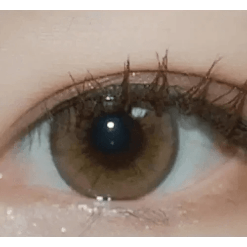 LensRang Iwwitch Up Brown - Idol Karakon