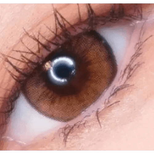 LensRang Iwwitch Up Brown - Idol Karakon