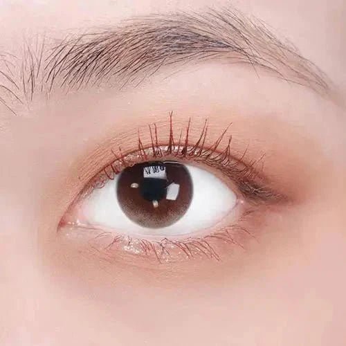 LensTown Joy Nude Brown - Idol Karakon