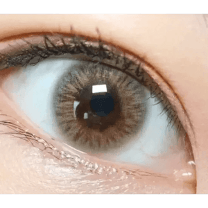 LensTown Kiralet Brown - Idol Karakon
