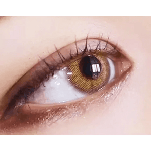 LensTown Rosy Basic Brown - Idol Karakon