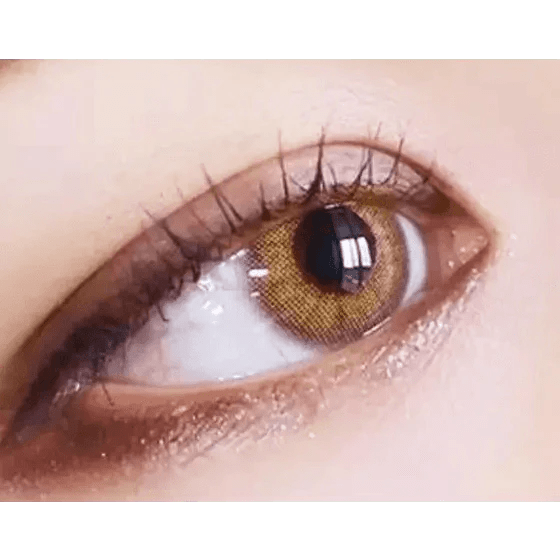 LensTown Rosy Basic Brown - Idol Karakon
