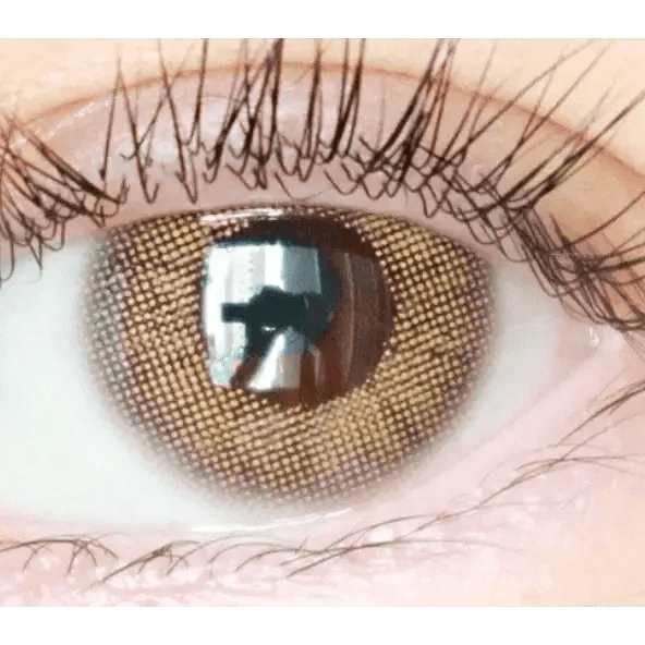 LensTown Rosy Basic Brown - Idol Karakon