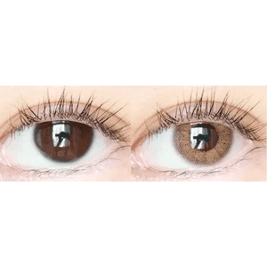 LensTown Rosy Basic Brown - Idol Karakon