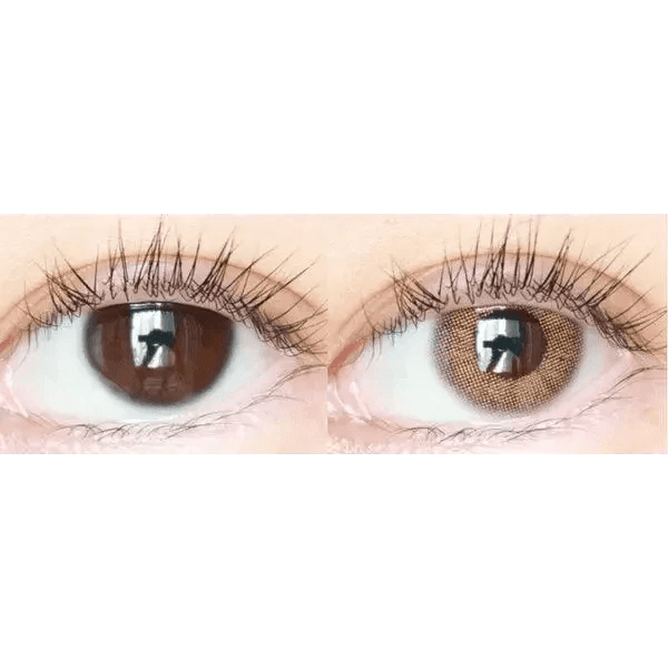 LensTown Rosy Basic Brown - Idol Karakon