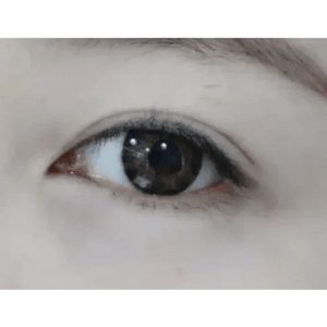 LensTown Swan Choco - Idol Karakon