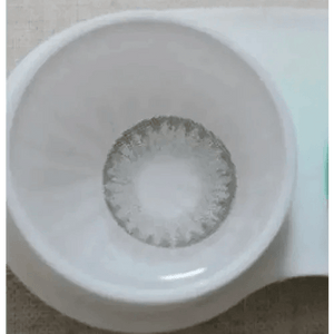 LensTown Swan Gray - Idol Karakon