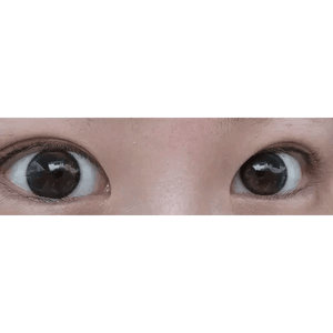 トゥーベター ビッグブラック トーリック To Better Big Black Toric - Idol Karakon