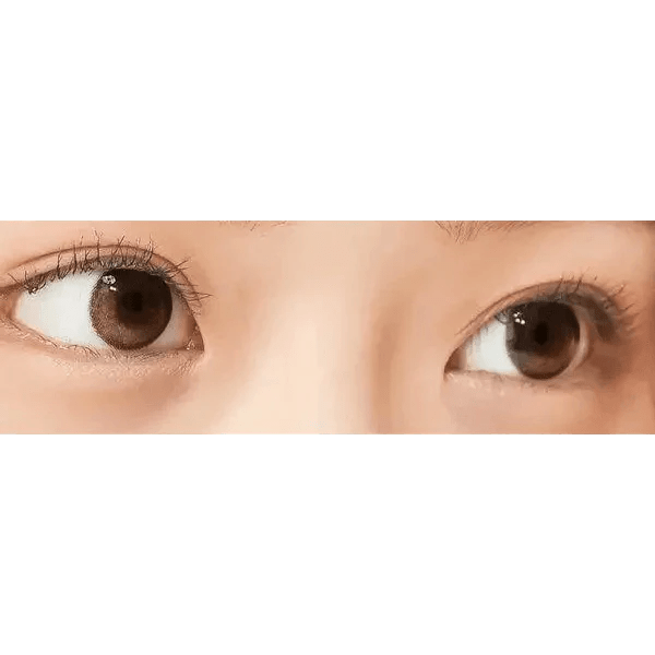 トゥーベター ブラウン ワンデー（10枚） — Tobetter Brown 1day (10p) - Idol Karakon