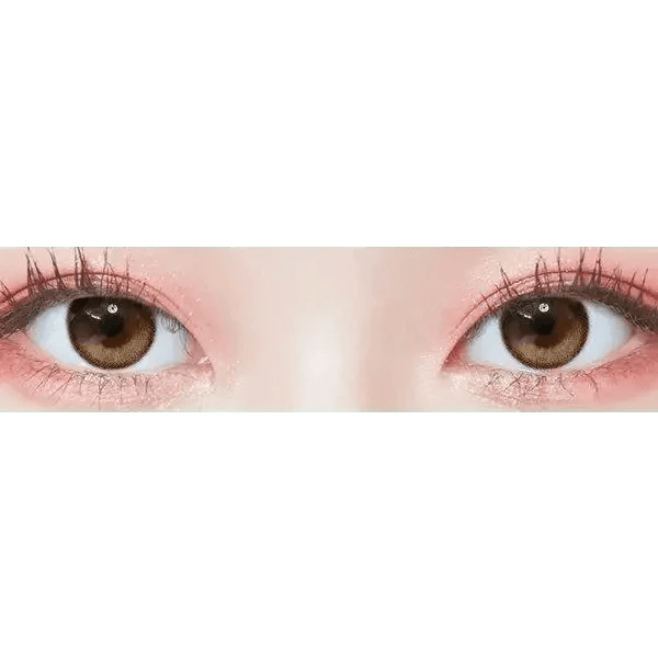 トゥーベター ブラウン トーリック Tobetter Brown Toric - Idol Karakon