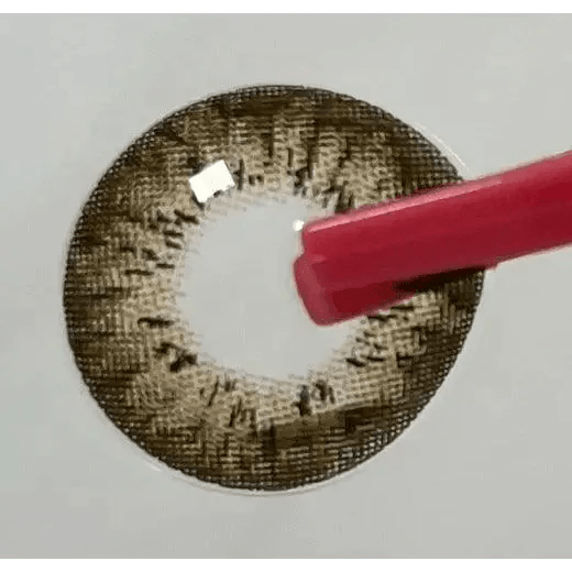 LensTown Vocati Brown - Idol Karakon