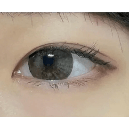 LensTown Vocati Brown - Idol Karakon