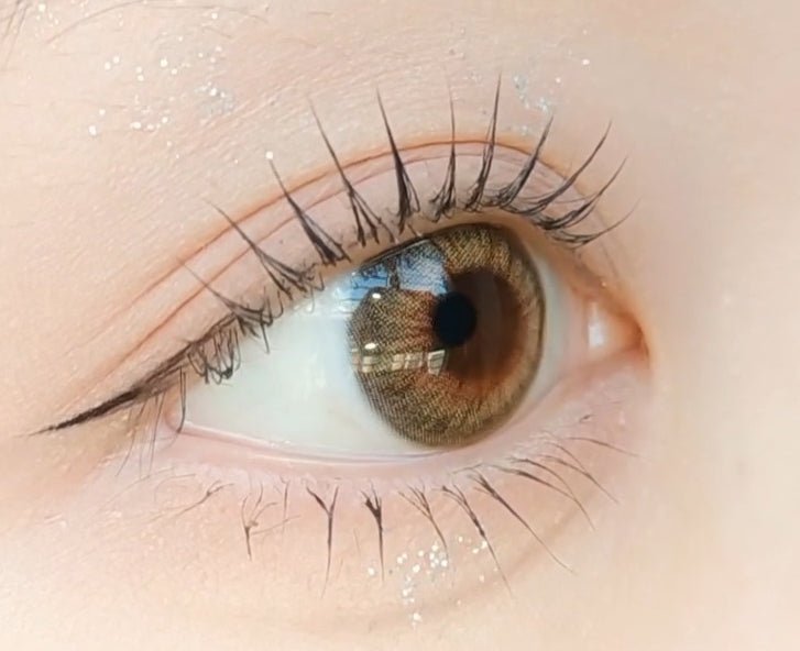 ヴェリカ ブラウン — Vellica Brown - Idol Karakon