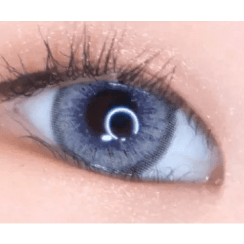LensVery Venti Ann Gray - Idol Karakon